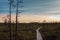 Swamp at sunset with dark clouds in Latvia.