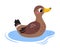 Swamp with Swimming Duck or Mallard as Waterfowl Vector Illustration