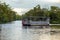 Swamp tour in New Orleans Louisiana