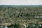 Swamp view with the pine trees and lakes and forest on the background in summer. Kemeru Latvia