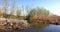 Swamp in Vojvodina, early spring shot