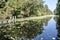 Swamp water with green algae floating. Wooden posts and Trees in the background. Great Dismal Swamp, USA.