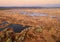 Swamp Yelnya in autumn landscape. Wild mire of Belarus. East European swamps and Peat Bogs.