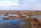 Swamp Yelnya in autumn landscape. Wild mire of Belarus. East European swamps and Peat Bogs. Ecological reserve in wildlife.