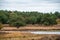 Swampland in the autumn under a cloudy sky. Fall landscape