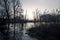 Swamps in autumn. Cool dark lake in primeval forest.