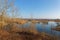 Swamps and reeds of Grand parc de Miribel-Jonage