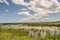 Swampy Area Under Beautiful Sunlit Clouds