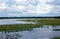 Swampy area, Wirawila-Tissa Nature Reserve, Sri Lanka