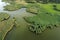 Swampy lake, aerial photography, on a summer day, background image