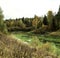 Swampy marsh at the edge of forest in early autumn