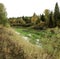 Swampy marsh at the edge of forest in early autumn