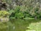 A swampy marsh in the outdoors in the daytime