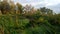 Swampy river bank in autumn, panoramic view