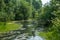 Swampy river with vegetation in the water and trees