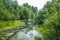 Swampy river with vegetation in the water and trees