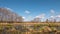 Swampy terrain against the background of clouds, Spring