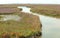 swampy wild landscape in the Venetian lagoon near Venice called