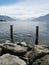 Swan between 2 plots in the water at lake Geneva with Swiss alps as background