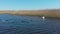 Swan aggressively protects territory in Newport Wetlands