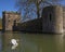 Swan at The Bishops Palace in Wells, Somerset