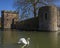 Swan at The Bishops Palace in Wells, Somerset