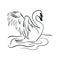 Swan black white bird isolated illustration vector, hand draw, sketch