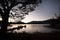 Swan Boat Rental scenery silhouette in the evening, Lake Kawaguchiko