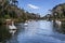 Swan Boats on Dark Lake Gramado Brazil