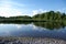 Swan in the calm water with a perfect mirror like reflection of the clouds, sky and trees