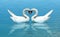 Swan Couple Forms a Heart