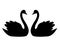 Swan couple / wedding graphic