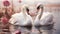 Swan elegance in nature, love reflected in tranquil pond generated by AI