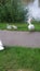 Swan and Familie