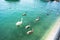 Swan familiy at lake zurich in switzerland