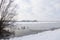 Swan family on ice in floodplanes of river rhine near doorwerth