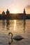 Swan floats on the Vltava River at dawn in Prague