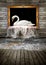 Swan in golden frame