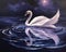 swan gracefully gliding across a moonlit lake. sense of enchantment and magic