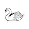 Swan icon isolated on background. vector