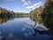 Swan in Krume lanke Lake , Berlin , Germany