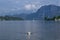 Swan on the lake in Alps