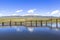 Swan Lake in Bayanbulak Grasslands in Xinjiang