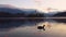 Swan and Lake Bled with St. Marys Church of the Assumption on the small island; Bled, Slovenia, Europe