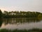 Swan with Lake at Dusk