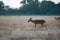 Swan Lake National Wildlife Refuge