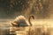 Swan on lake. Serenity swan swimming in lake mist.