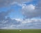 Swan in meadow under cloudscape near amersfoort and eemnes in ho