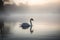 Swan misty lake nature. Generate Ai