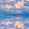 Swan moving on calm blue lake against a picturesque cloudy sky